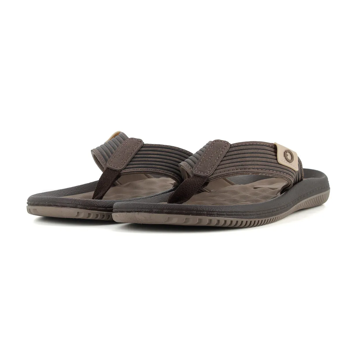 CARTAGO Esclava Brown