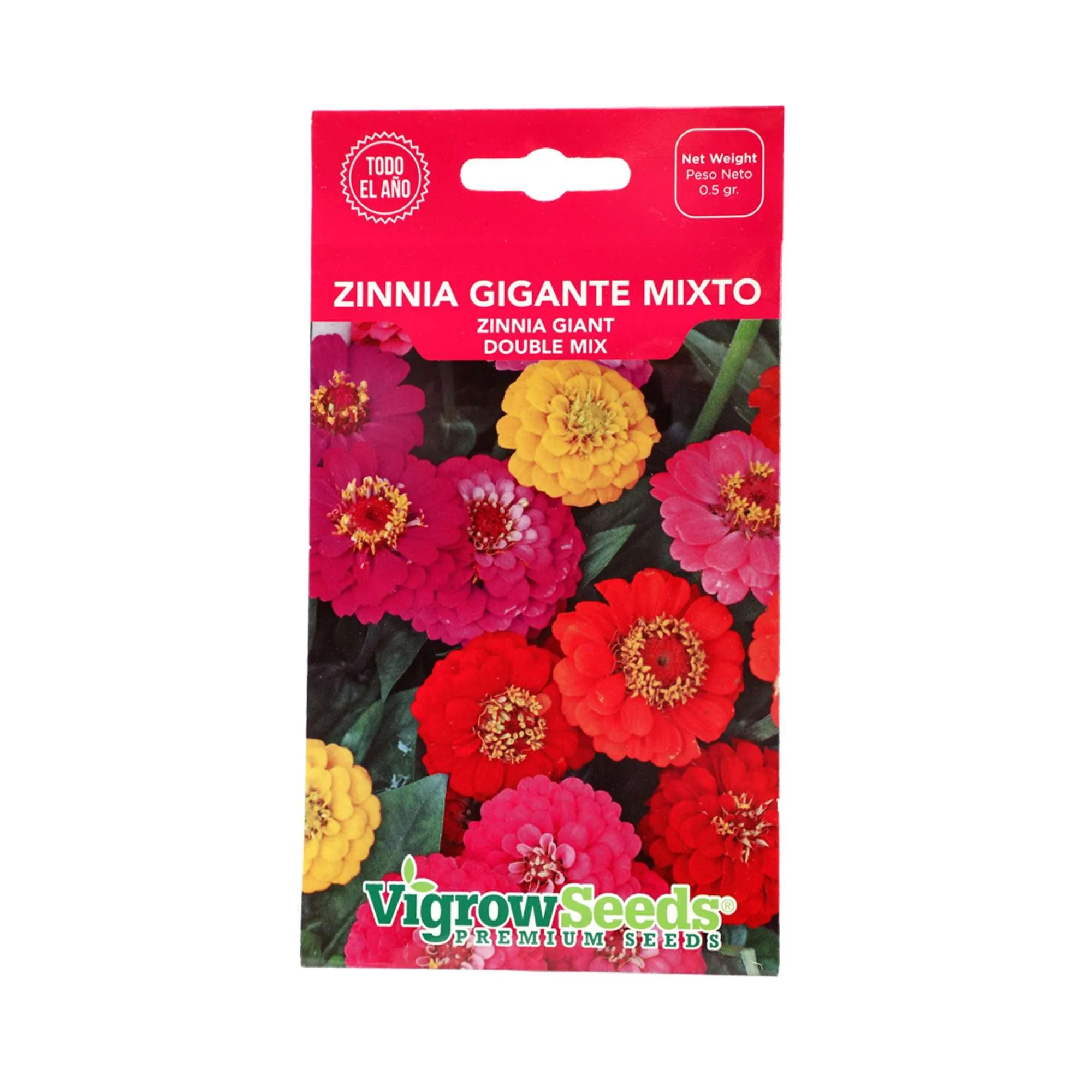 Semilla Zinnia Gigante Mixto (Flores)